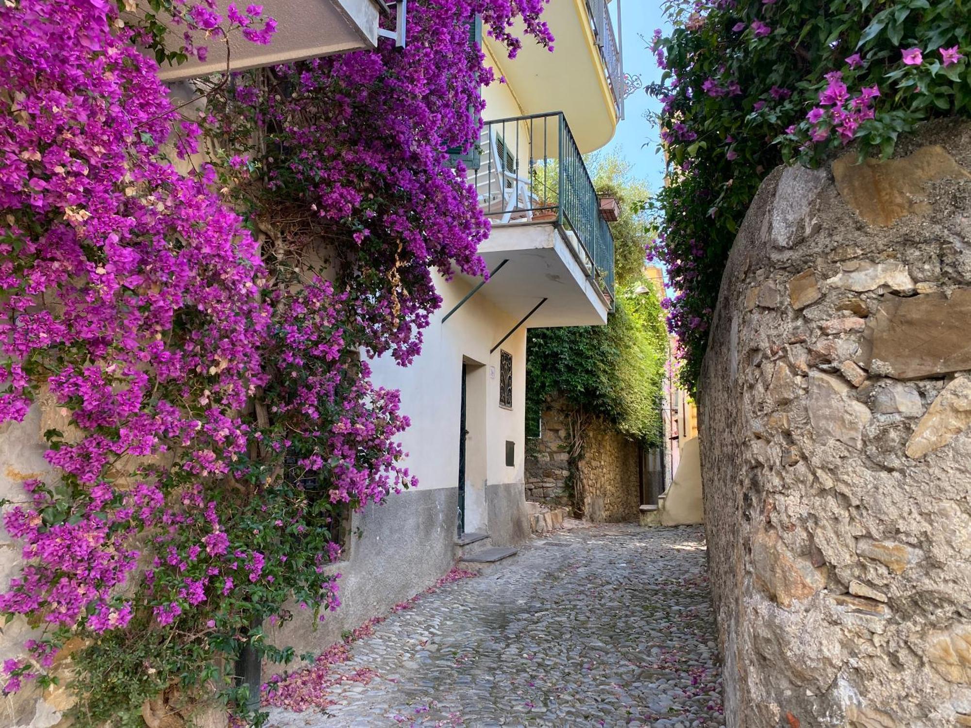 Bed and Breakfast La Finestra Sul Borgo Cervo Exteriér fotografie