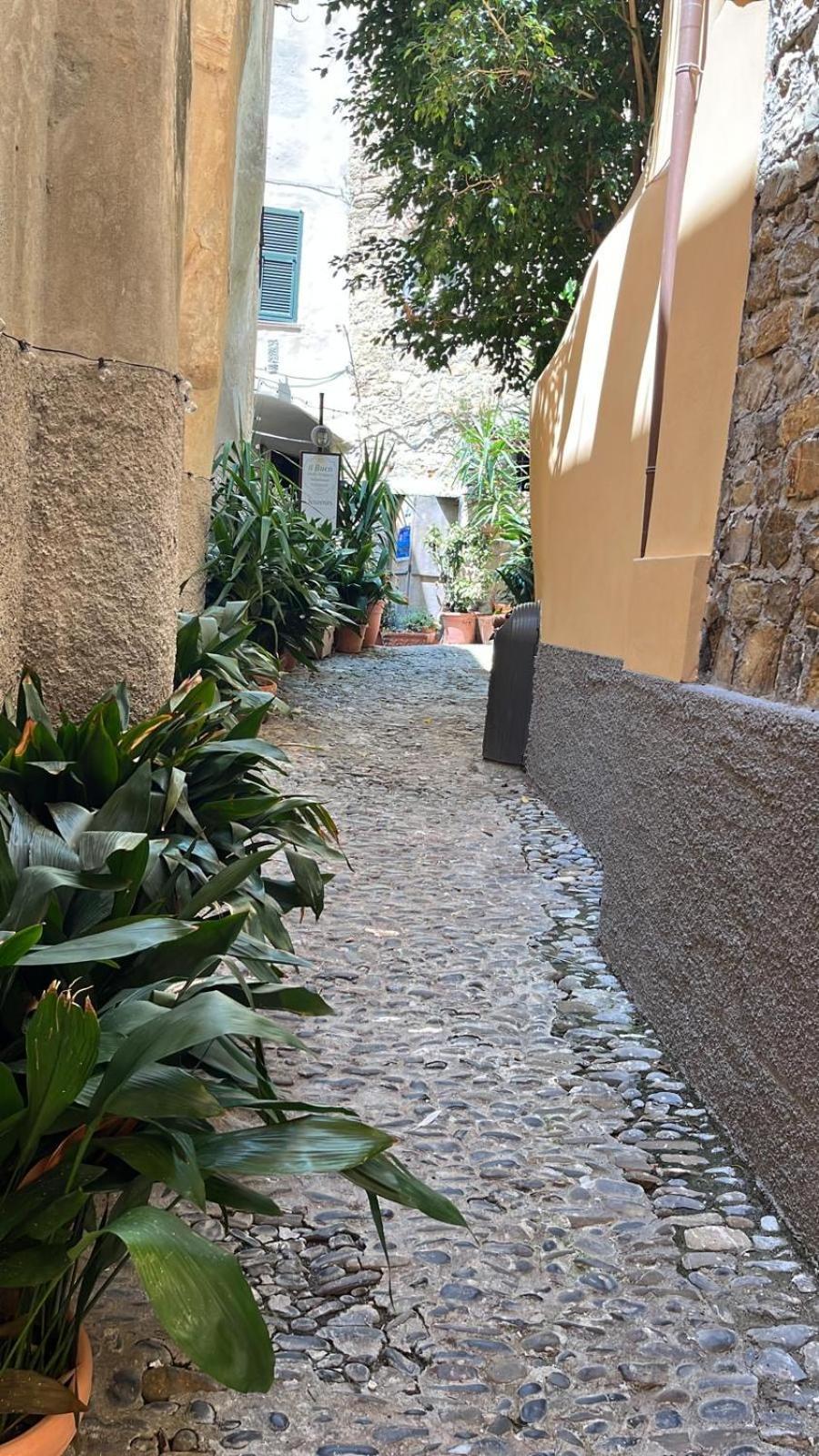 Bed and Breakfast La Finestra Sul Borgo Cervo Exteriér fotografie